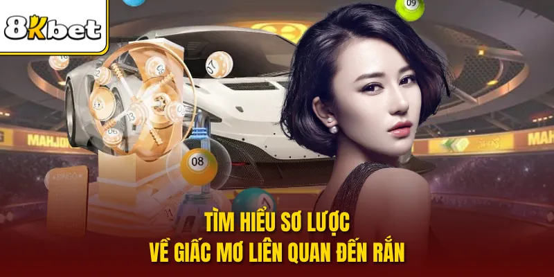 Tìm hiểu sơ lược về giấc mơ liên quan đến rắn